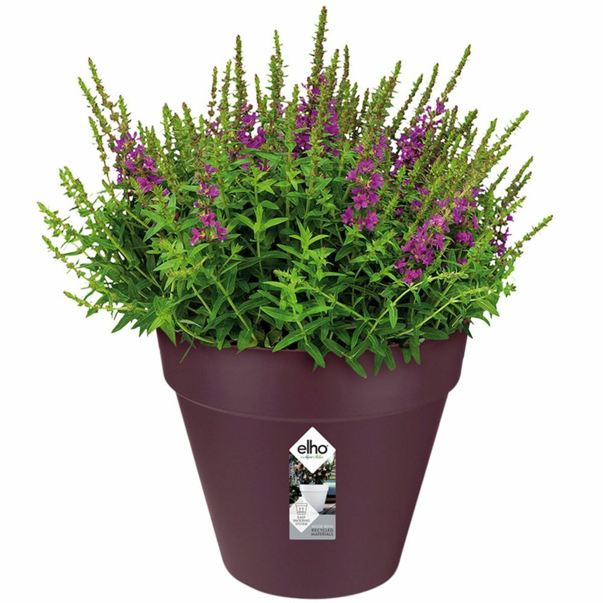 Bild 1 von Deuba® Blumentopf Maulbeere Matt 25x22cm 5,5L