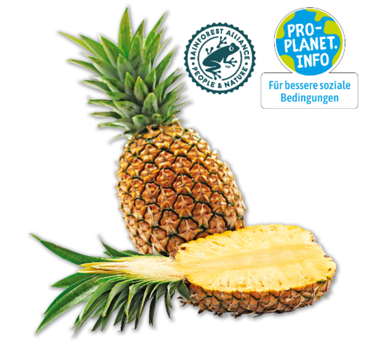 Bild 1 von MARKTLIEBE Ananas