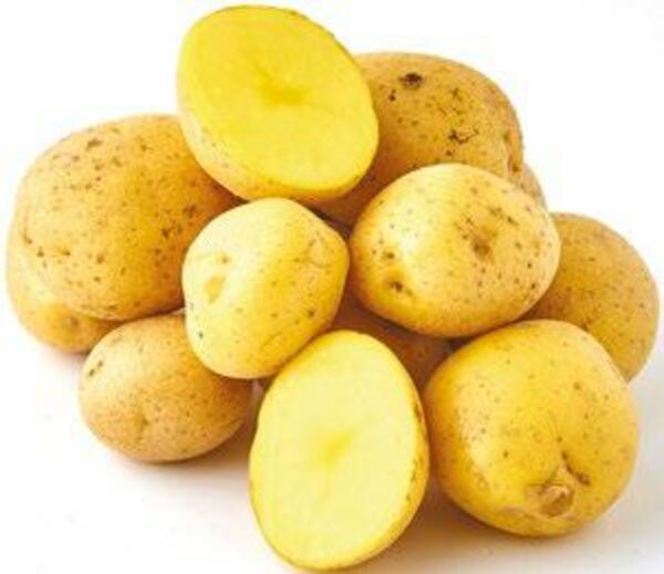 Bild 2 von GO Regio Speisekartoffeln 2,5 kg