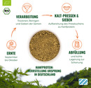 Bild 3 von HANS Brainfood Bio Ultra Protein 85%