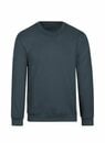 Bild 1 von Trigema Sweatshirt TRIGEMA Sweatshirt