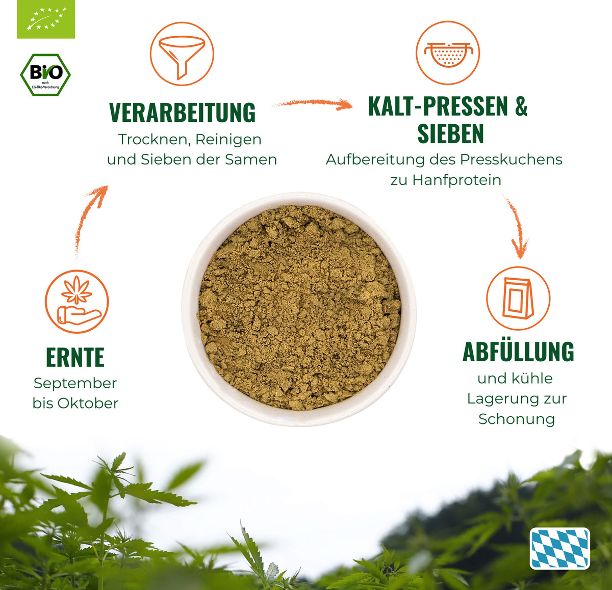 Bild 3 von HANS Brainfood Bio Hanf-Protein