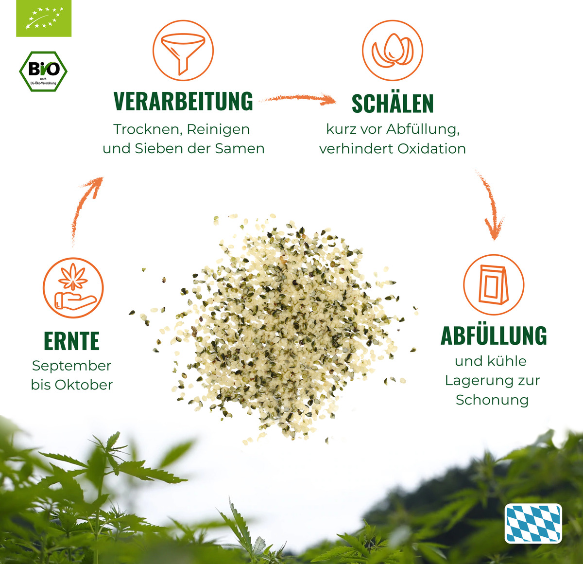 Bild 3 von HANS Brainfood Bio Geschälte Hanfsamen