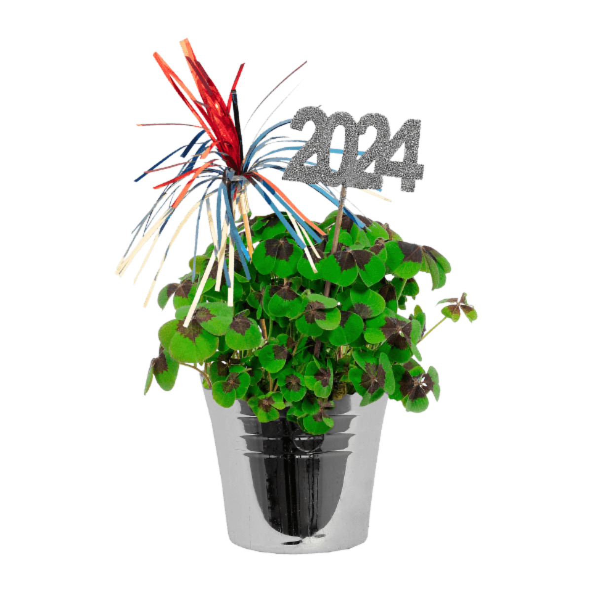 Bild 3 von GARDENLINE Glücksklee