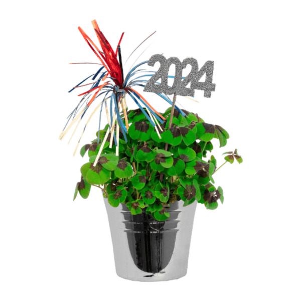 Bild 3 von GARDENLINE Glücksklee