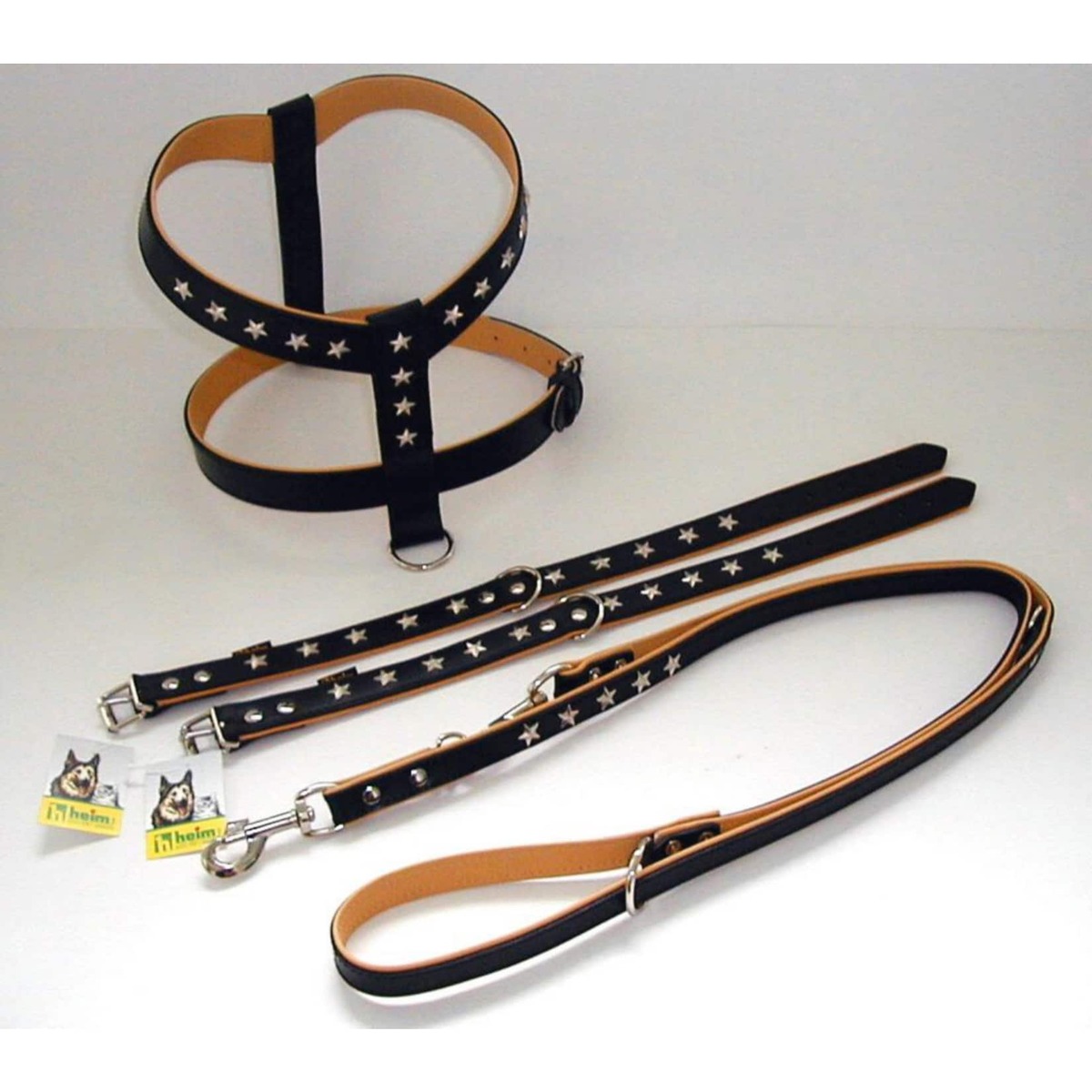 Bild 1 von Führleine "Stars" 18mm breit / 200cm lang, Farbe schwarz