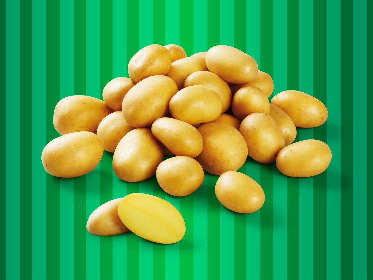 Bild 1 von Gourmet Speisekartoffeln, festkochend, 
         1 kg