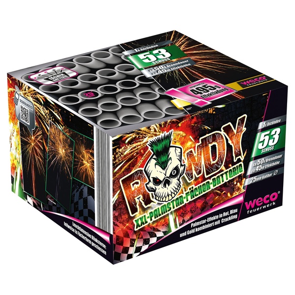 Bild 1 von WECO®  Batterie „Rowdy“