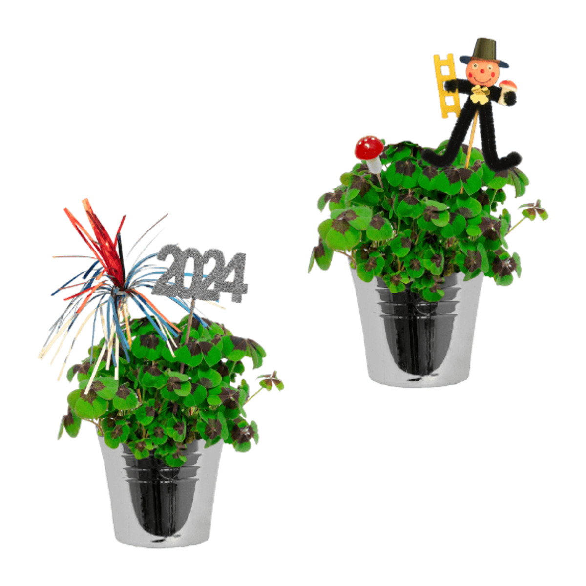 Bild 1 von GARDENLINE Glücksklee