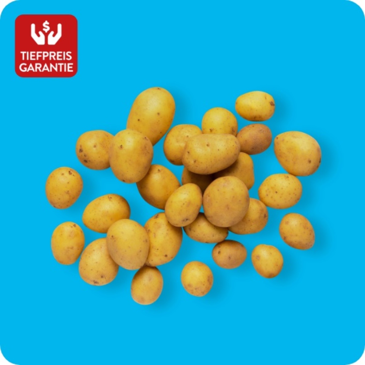 Bild 1 von Speisekartoffeln Drillinge