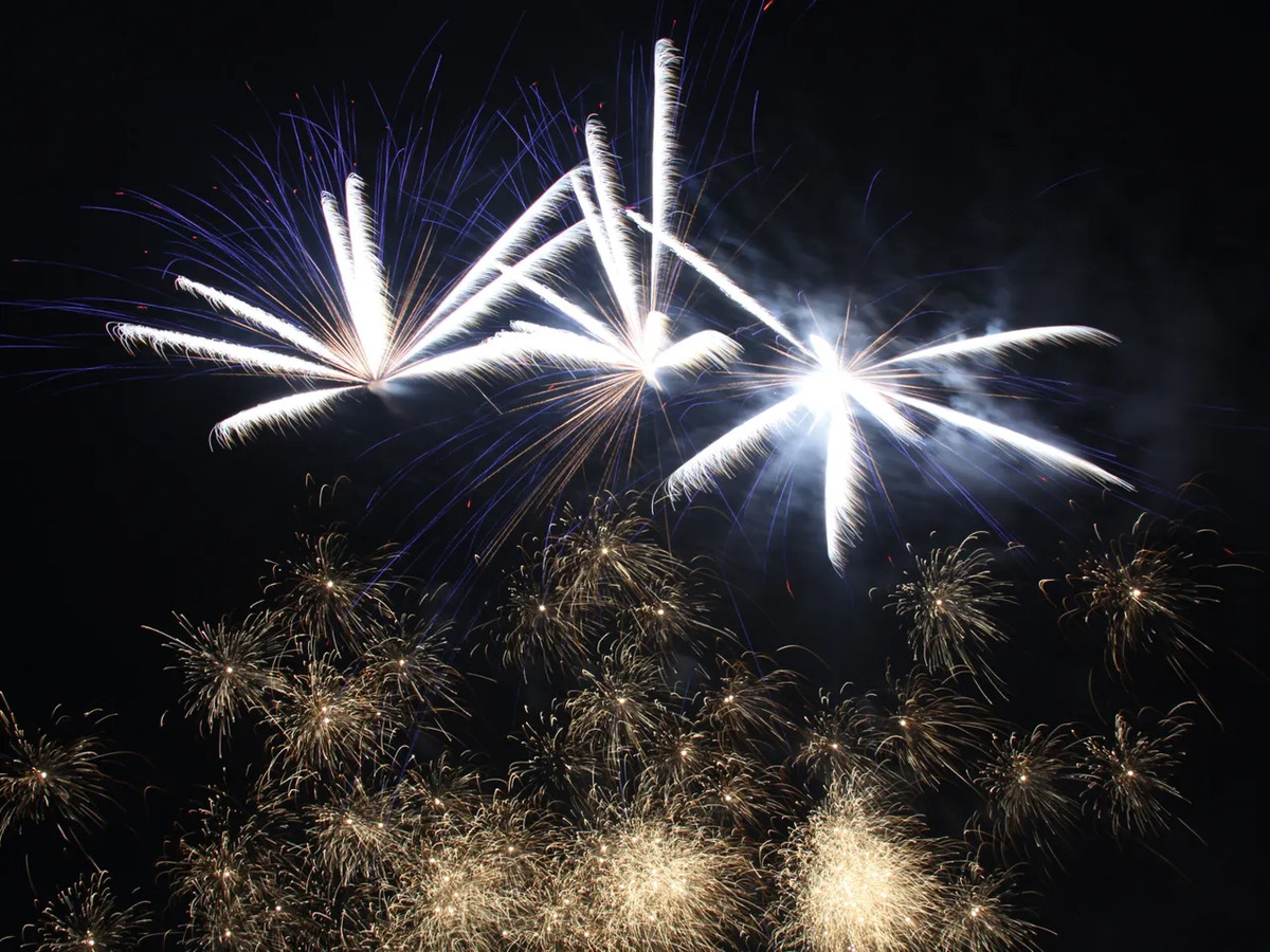 Bild 3 von WECO XXL-3-Stufen-Power-Batterie „The New Beastmaster“, 
         Stück