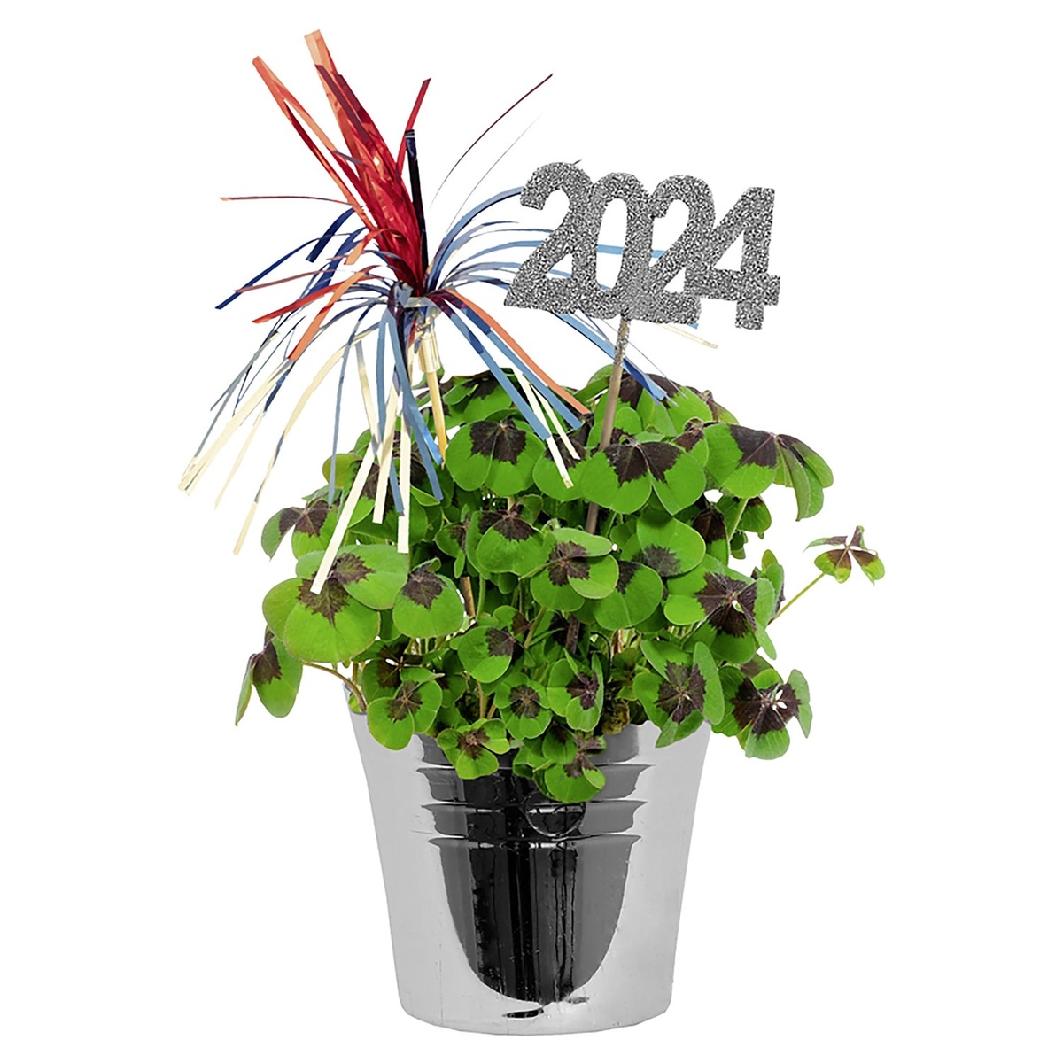 Bild 1 von GARDENLINE Glücksklee im Sektkübel