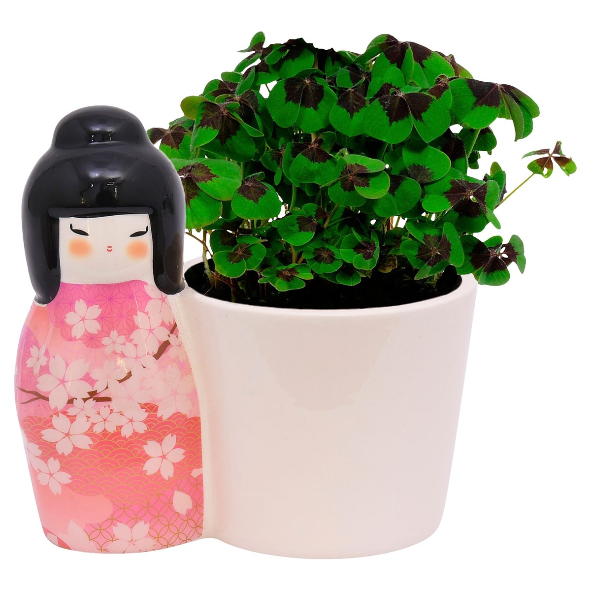 Bild 4 von GARDENLINE Glücksklee