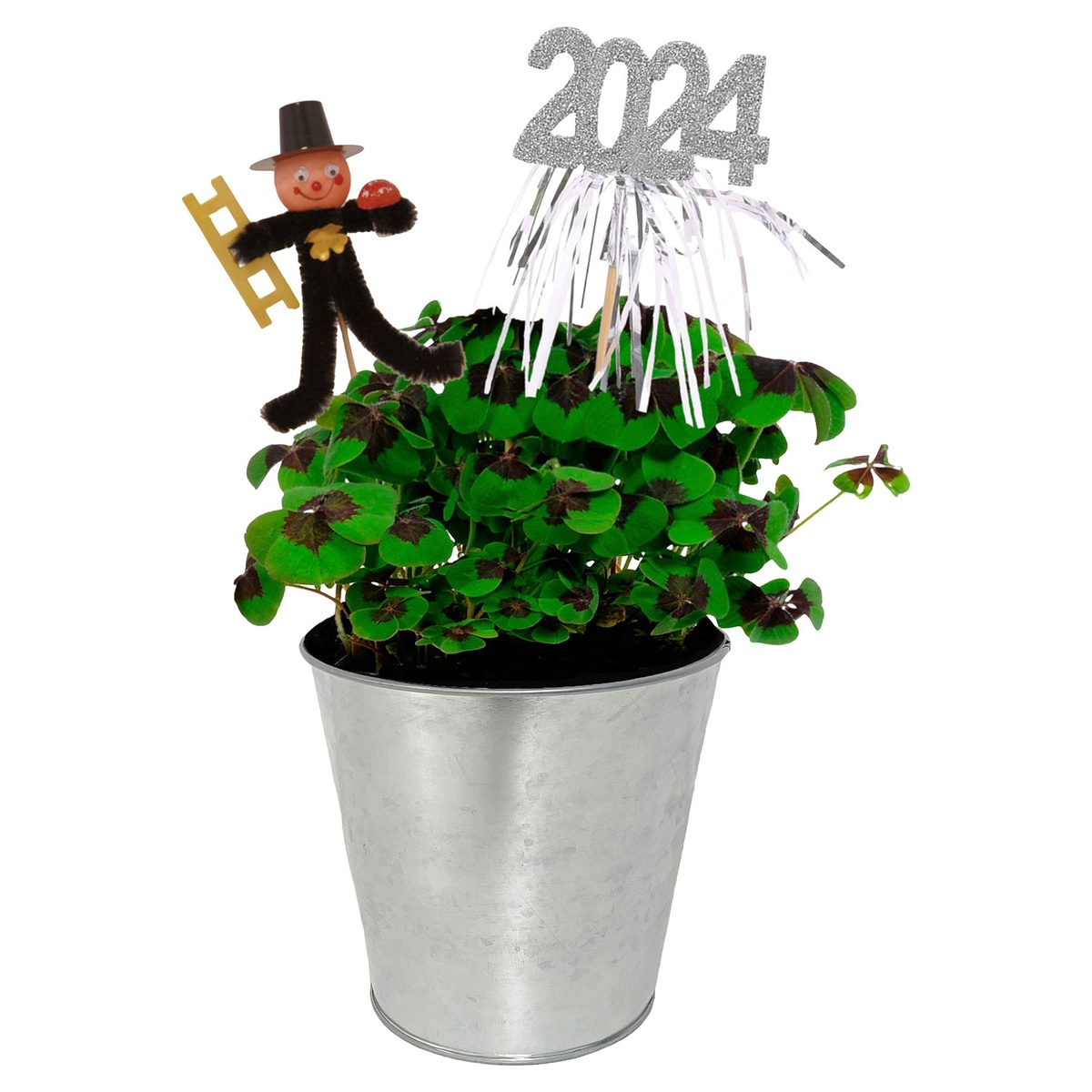 Bild 1 von GARDENLINE Glücksklee in Metalleimer in Zinkoptik