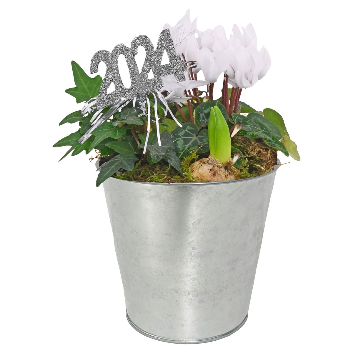 Bild 1 von GARDENLINE Bepflanzter Zylindertopf