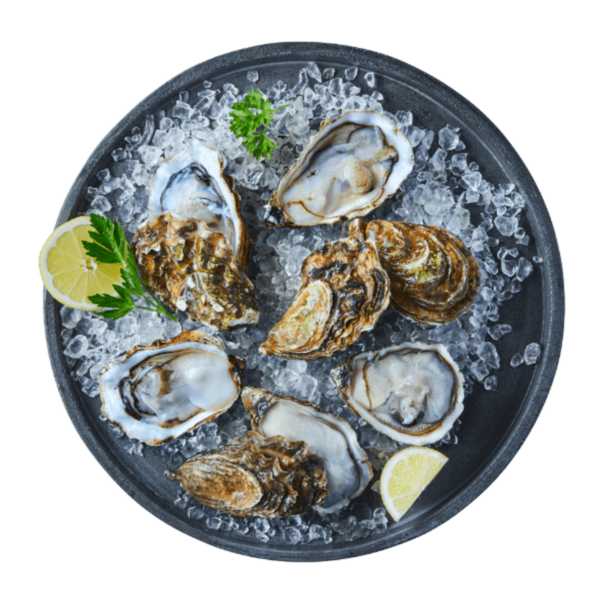 Bild 1 von DELTA OSTREA Felsenaustern