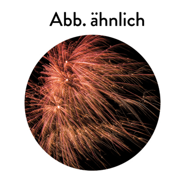 Bild 2 von NICO Fireworks Fiesta