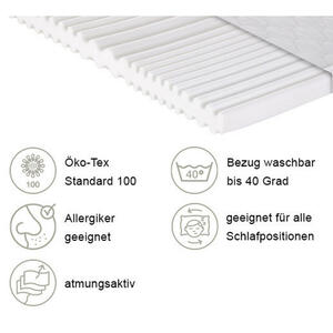 P & B Kaltschaummatratze, Weiß, Kunststoff, H2 + H3, Füllung: Polyester, rechteckig, 90x190 cm, Oeko-Tex® Standard 100, Handmade in Europe, Made in Italy, Bezug abnehmbar/waschbar, Ober- und Unter