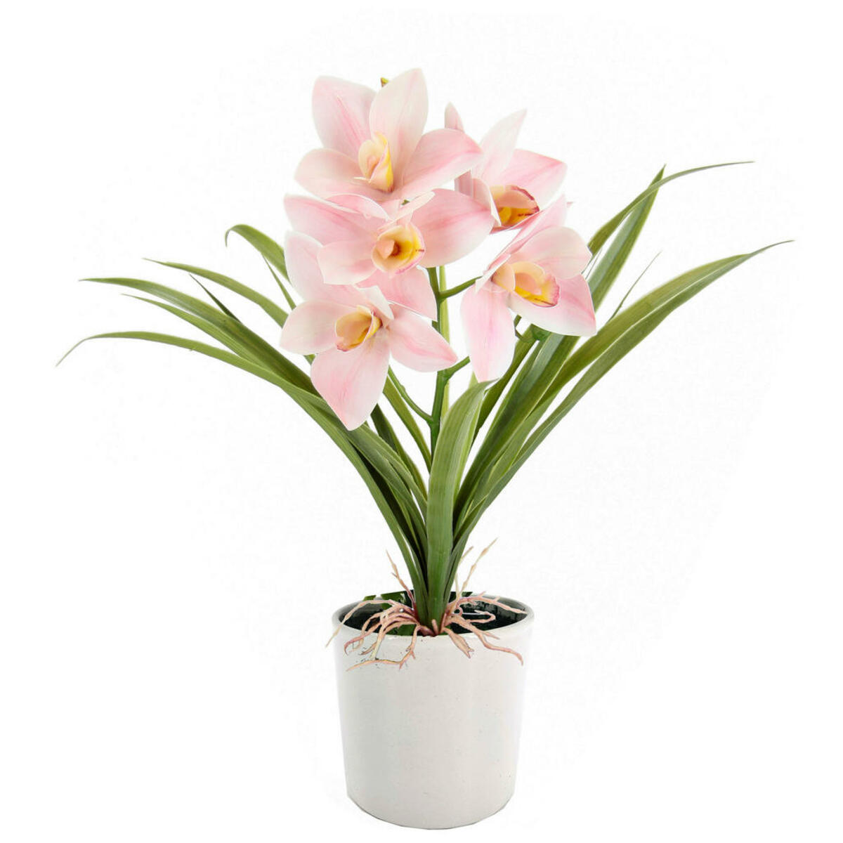 Bild 1 von Orchidee, Hellrosa, Keramik, 35x40x15 cm, Dekoration, Kunstblumen