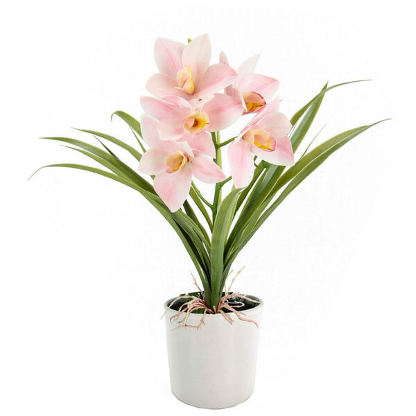 Bild 1 von Orchidee, Hellrosa, Keramik, 35x40x15 cm, Dekoration, Kunstblumen