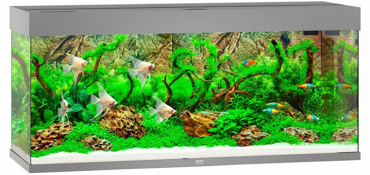 Bild 1 von JUWEL AQUARIEN Aquarium Rio 240 LED, BxTxH: 121x41x55 cm, 240 l, inkl. MultiLux LED Einsatzleuchte