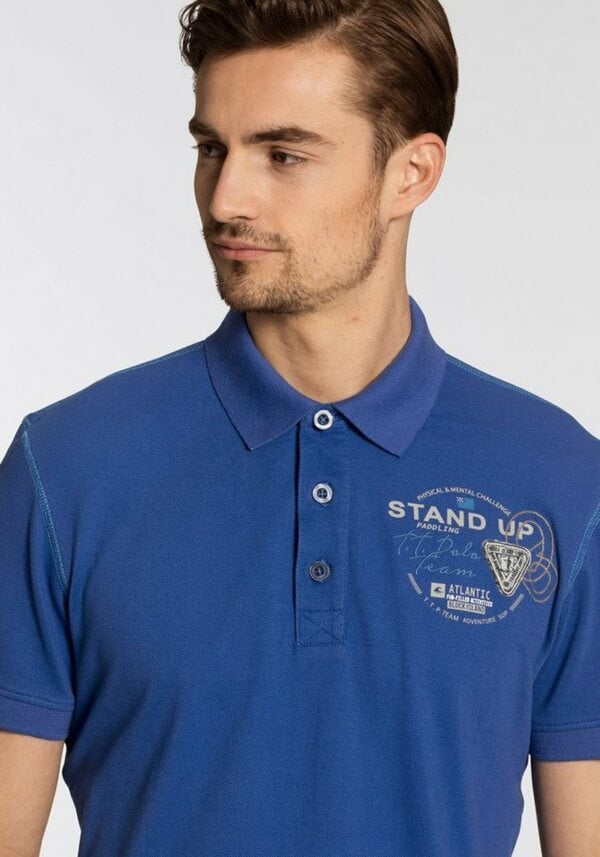 Bild 1 von TOM TAILOR Polo Team Poloshirt