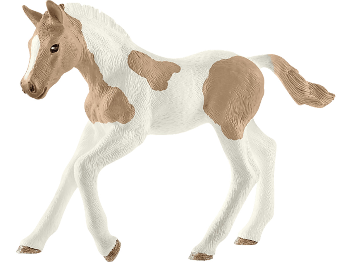 Bild 1 von SCHLEICH PAINT HORSE FOHLEN Spielfigur Mehrfarbig