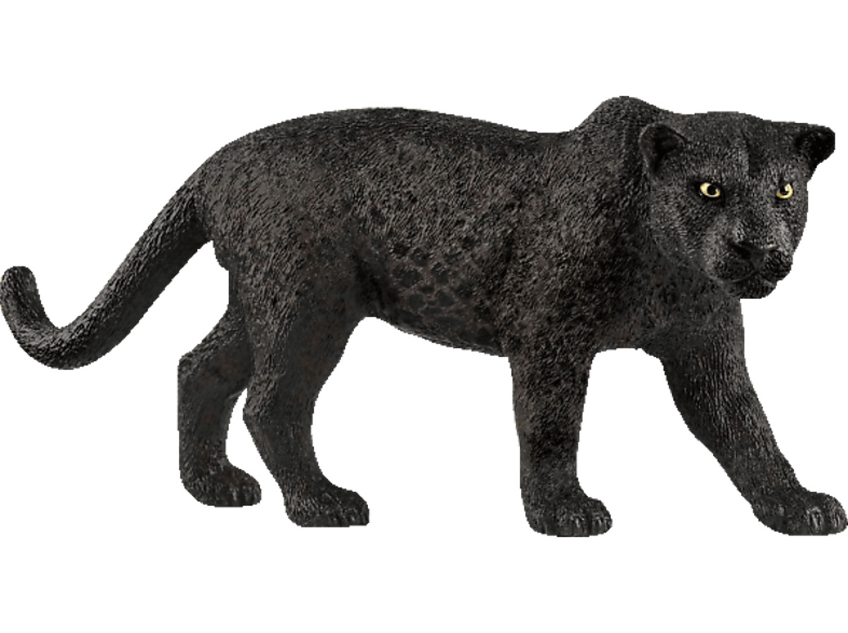 Bild 1 von SCHLEICH Schwarzer Panther Spielfigur Mehrfarbig
