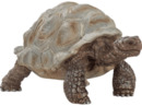 Bild 1 von SCHLEICH RIESENSCHILDKRÖTE Spielfigur Mehrfarbig