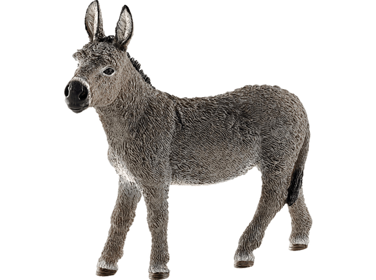 Bild 1 von SCHLEICH ESEL Spielfigur Mehrfarbig