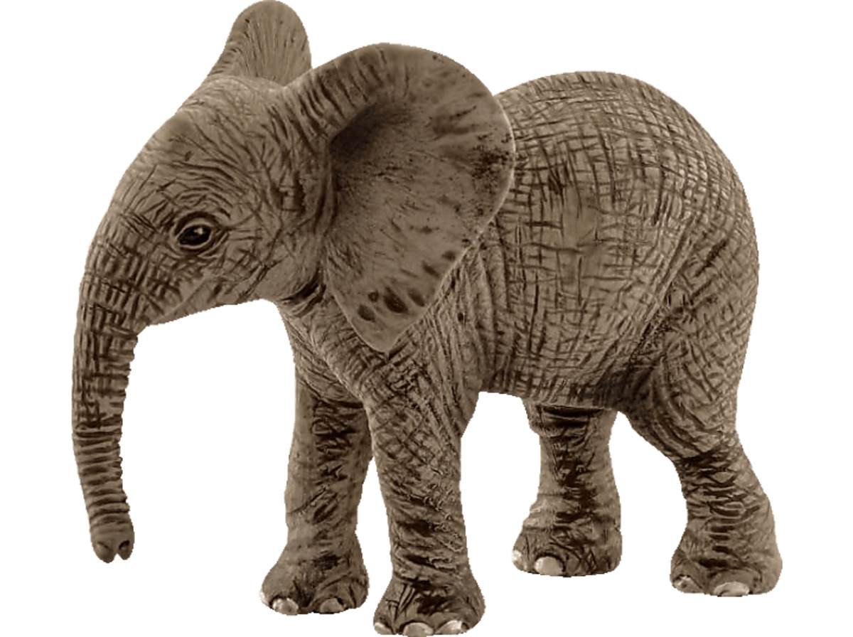 Bild 1 von SCHLEICH Afrikanisches Elefantenbaby Spielfigur Grau