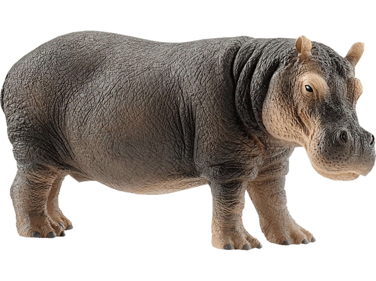 Bild 1 von SCHLEICH Flusspferd Spielfiguren Mehrfarbig