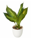 Bild 1 von Kunstpflanze
       
       ca. 11,5 x 10,5 x 30 cm
   
      grün