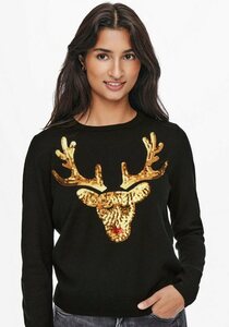 Only Weihnachtspullover »ONLXMAS L/S PULLOVER EX KNT«