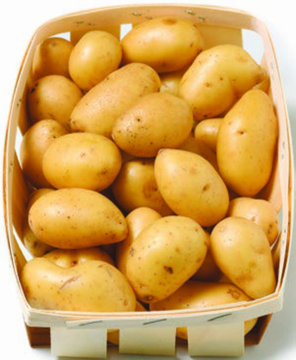 Bild 1 von Speisekartoffeln festkochend 1 kg