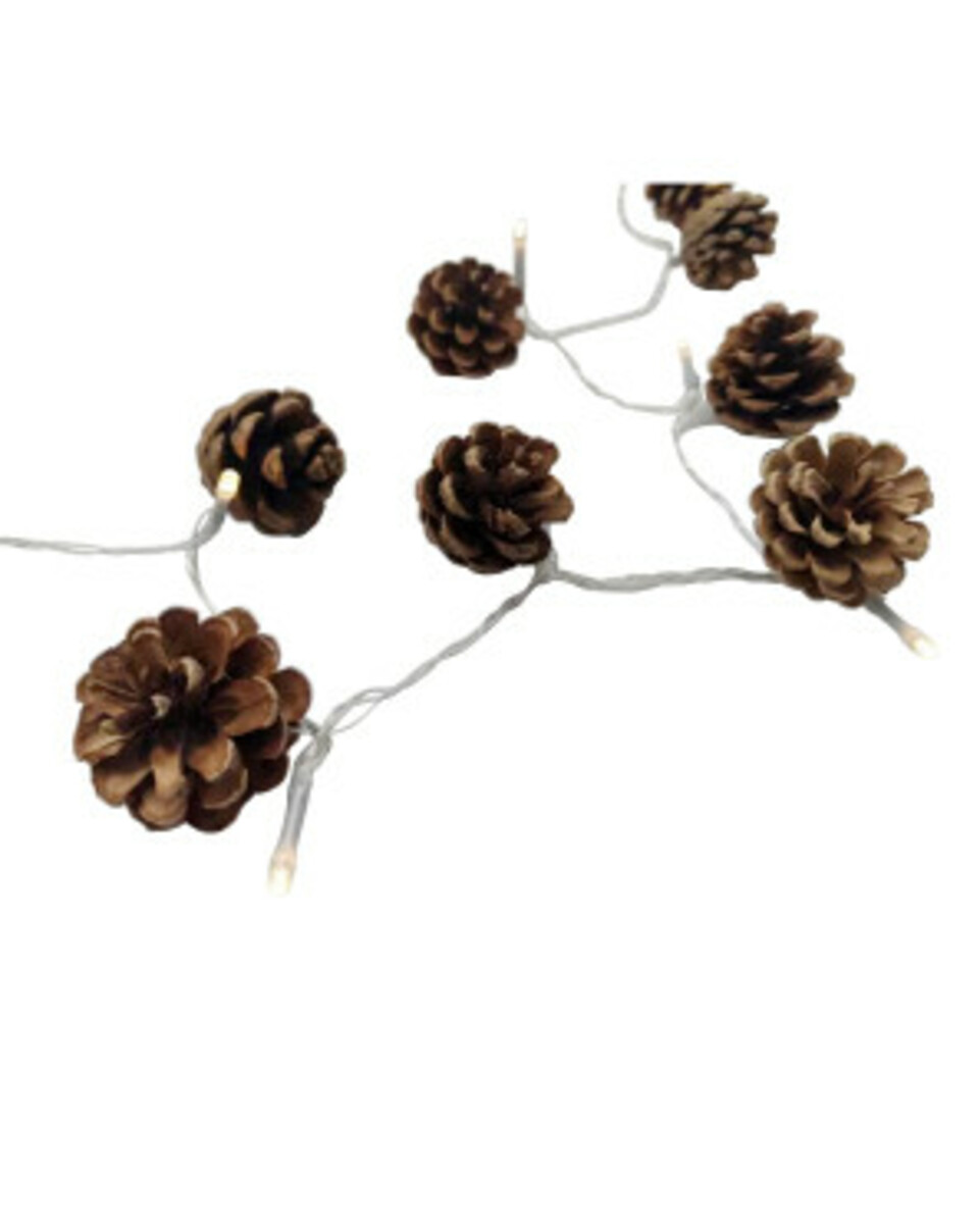 Bild 1 von LED-Lichterkette
       
       20 LEDs, ca. 190 cm
   
      braun