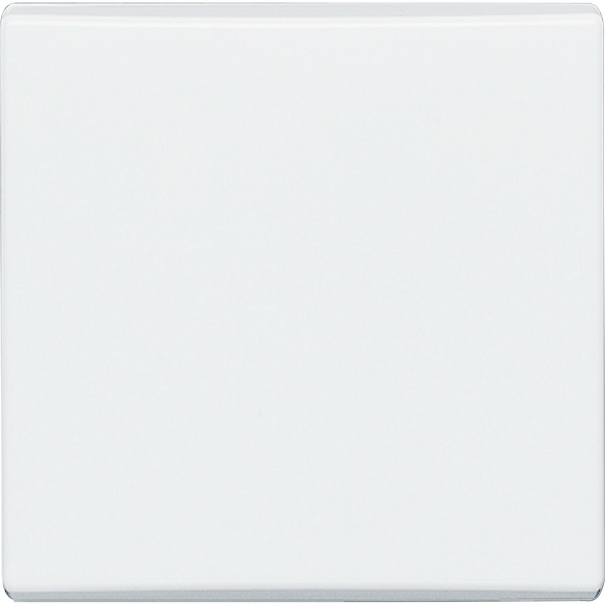 Bild 1 von Busch-Jaeger Wippe Aus-/Wechsel Allwetter Alpinweiß