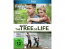 Bild 1 von The Tree of Life Blu-ray