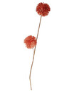 Bild 1 von Kunstblume
       
       Distel, ca. 85 cm
   
      orange