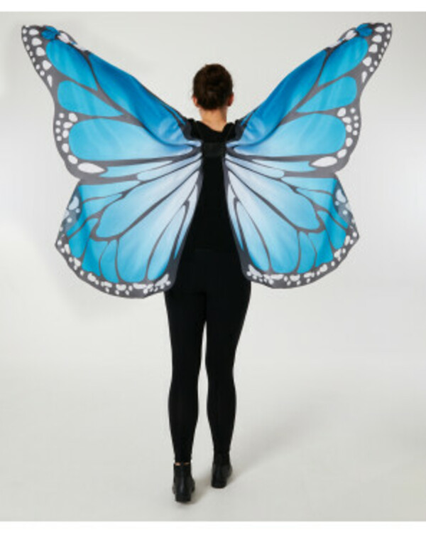 Bild 1 von Erwachsenenkostüm Schmetterling
       
       aus Satin
   
      blau