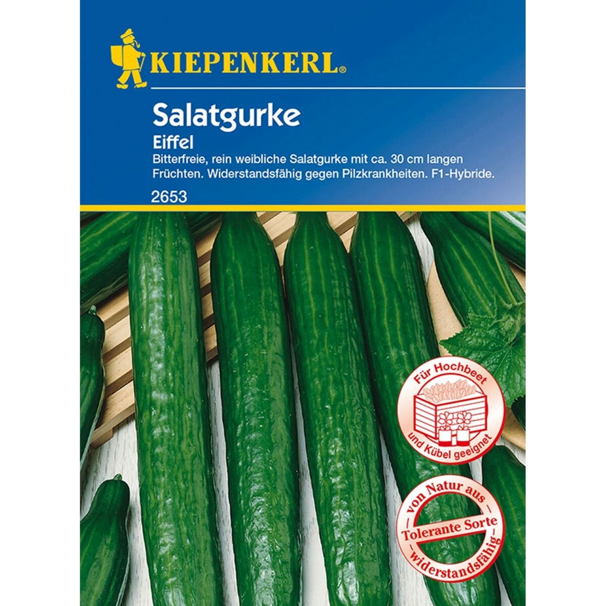Bild 1 von Kiepenkerl Salatgurke Eiffel