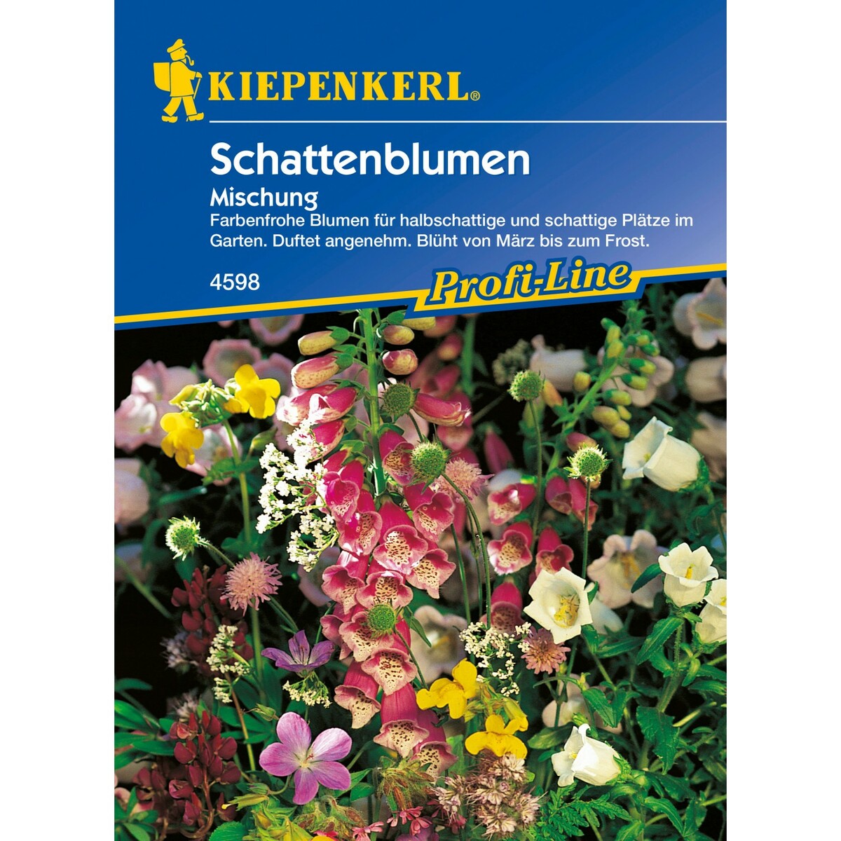 Bild 1 von Schattenblumen Mischung