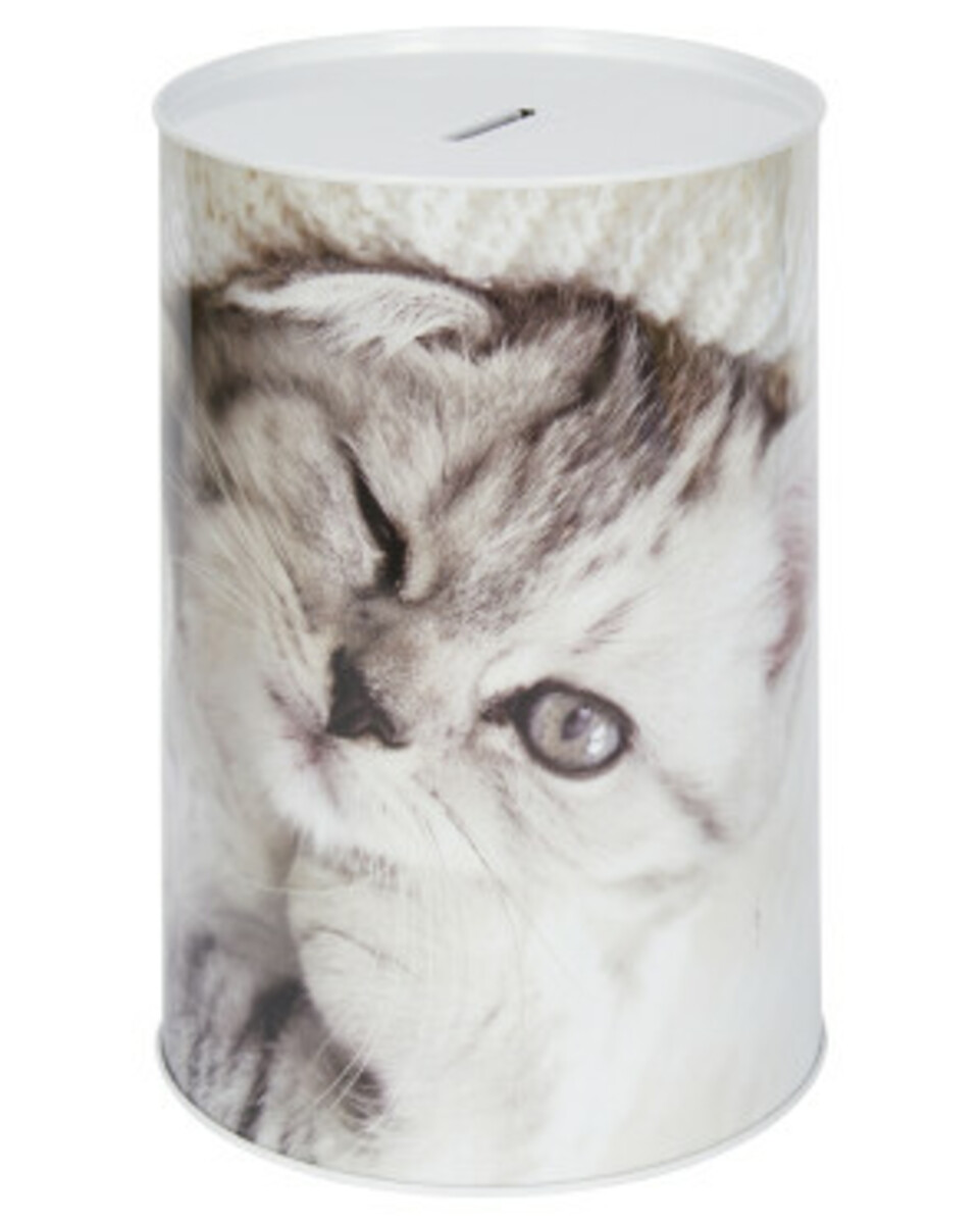 Bild 1 von Spardose
       
       verschiedene Motive
   
      weiß