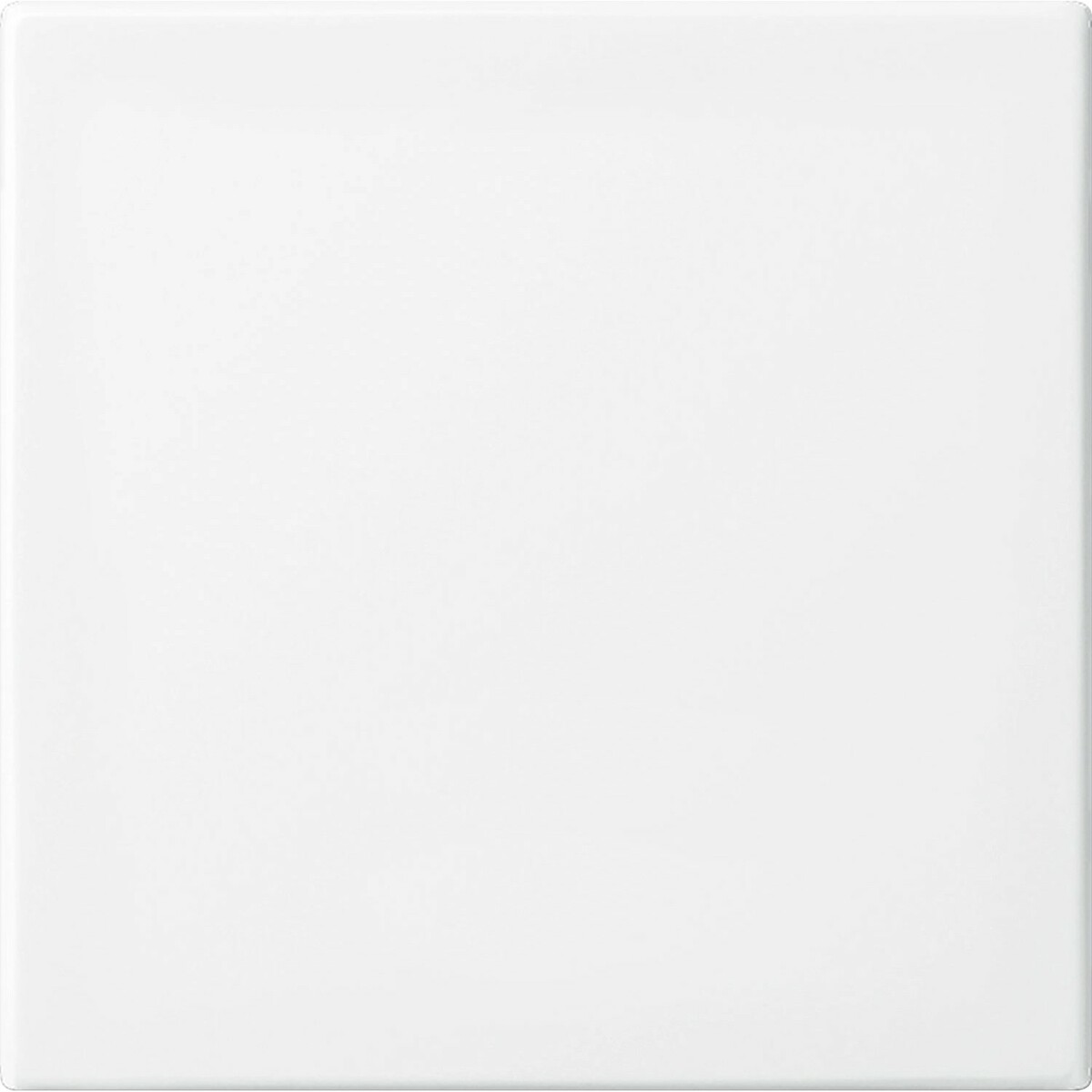 Bild 1 von Busch-Jaeger Wippe für Schalter/Taster Balance SI Alpinweiß