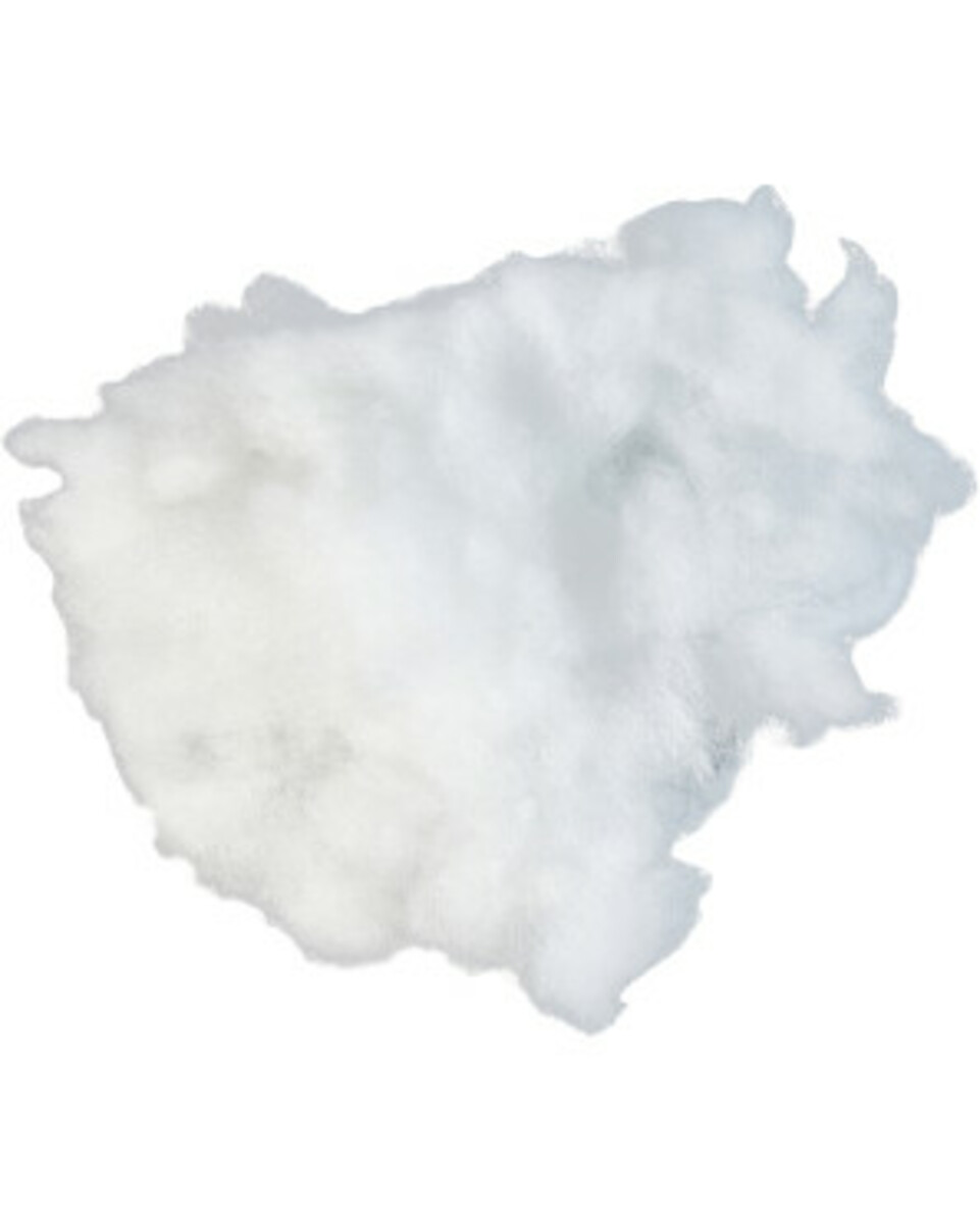 Bild 1 von Füllmaterial
       
    50 g  
   
      weiß