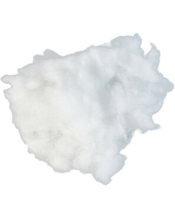 Bild 1 von Füllmaterial
       
    50 g  
   
      weiß