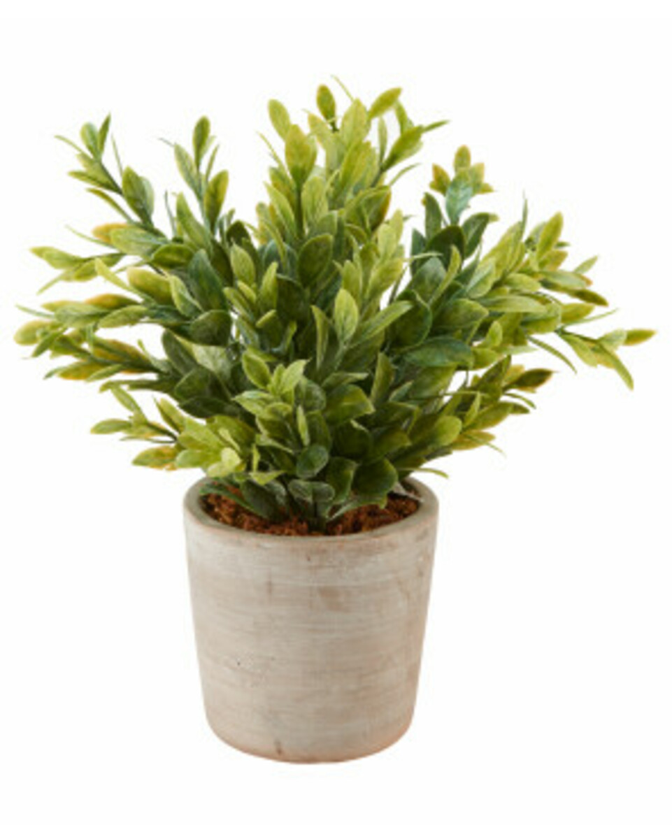 Bild 1 von Kunstpflanze
       
       ca. 8 x 23 cm
   
      grün