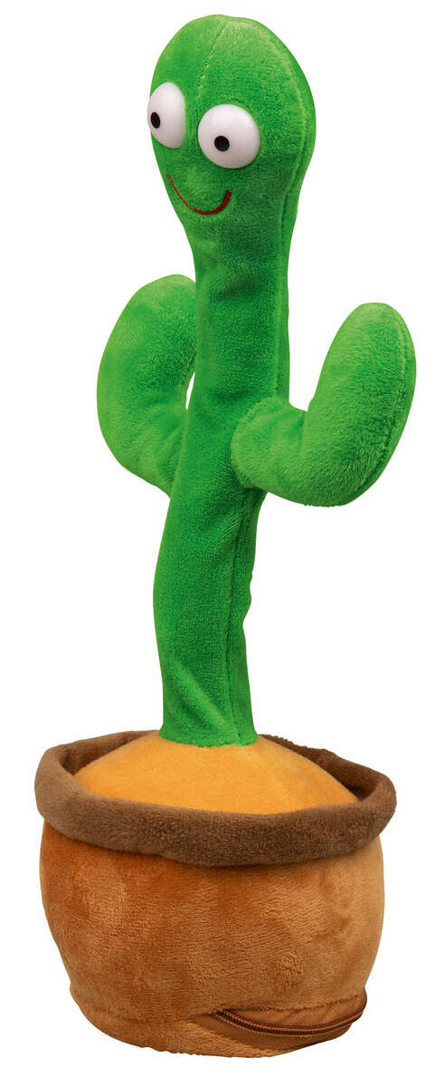 Bild 1 von KIDLAND® Kaktus