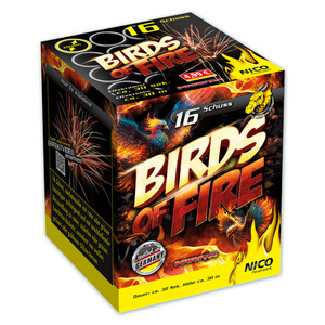 Nico Feuerwerk/Powertec Birds of Fire