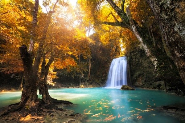 Bild 1 von Papermoon Fototapete "Waterfall in Kanchanaburi, Thailand"